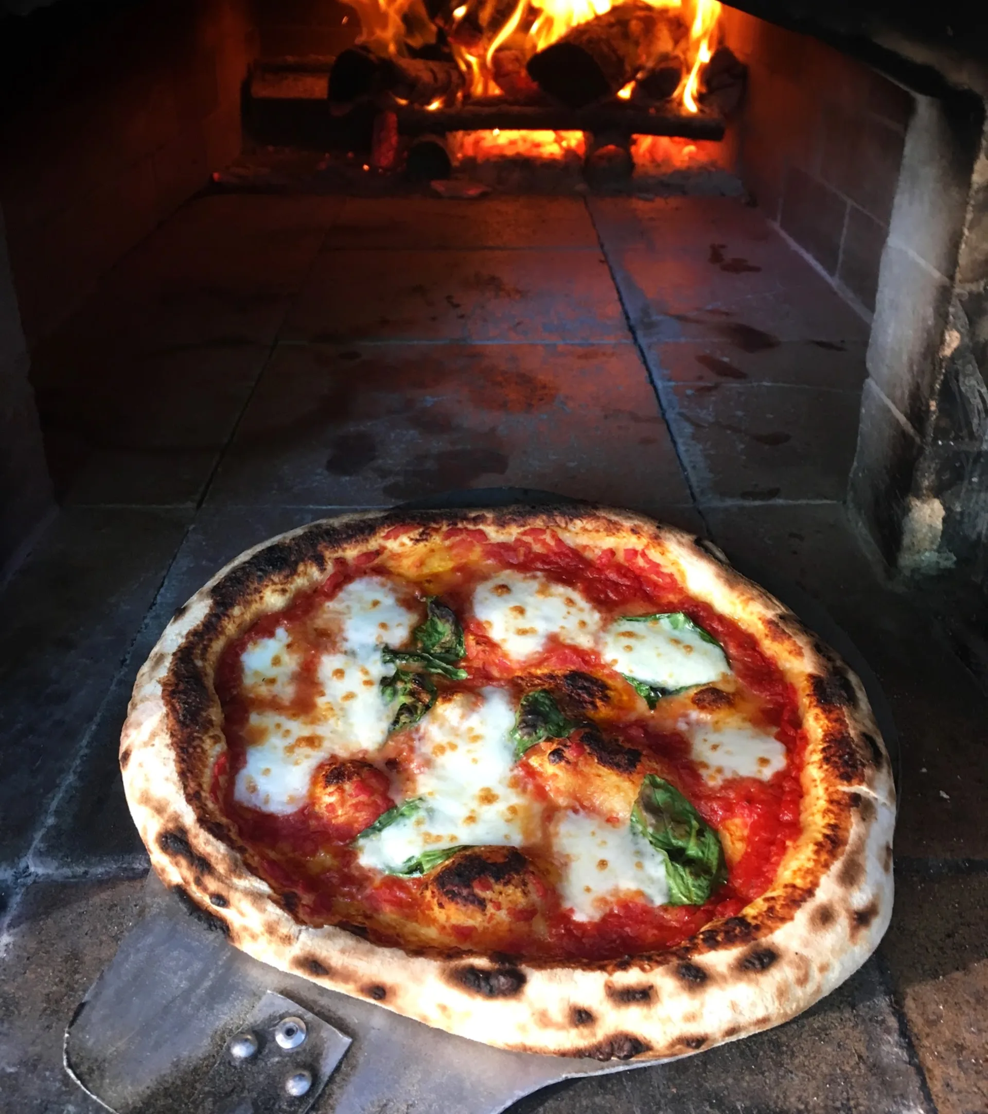 Lucky Bat Cafe & Pizzeria — woodfired kitchen and artisan coffee in Nightcliff, Darwin